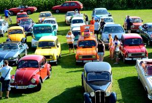 Srečanje starodobnikov